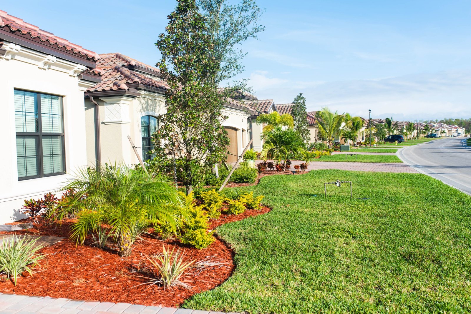 Landscaping with a green lawn and flower beds in front of a home in the San Fernando Valley