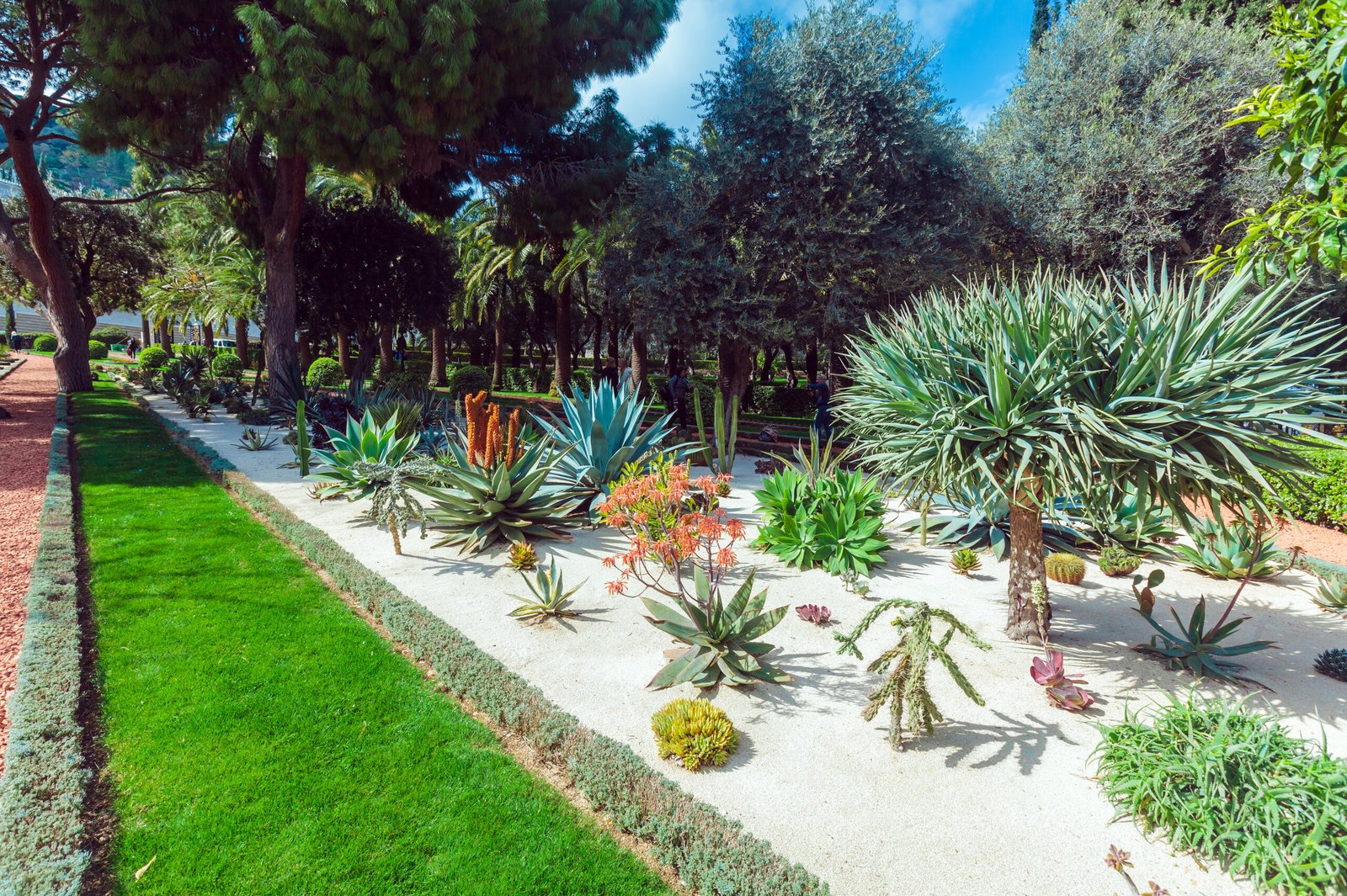 Colorful flower garden beds showing landscaping and fencing ideas in Calabasas.