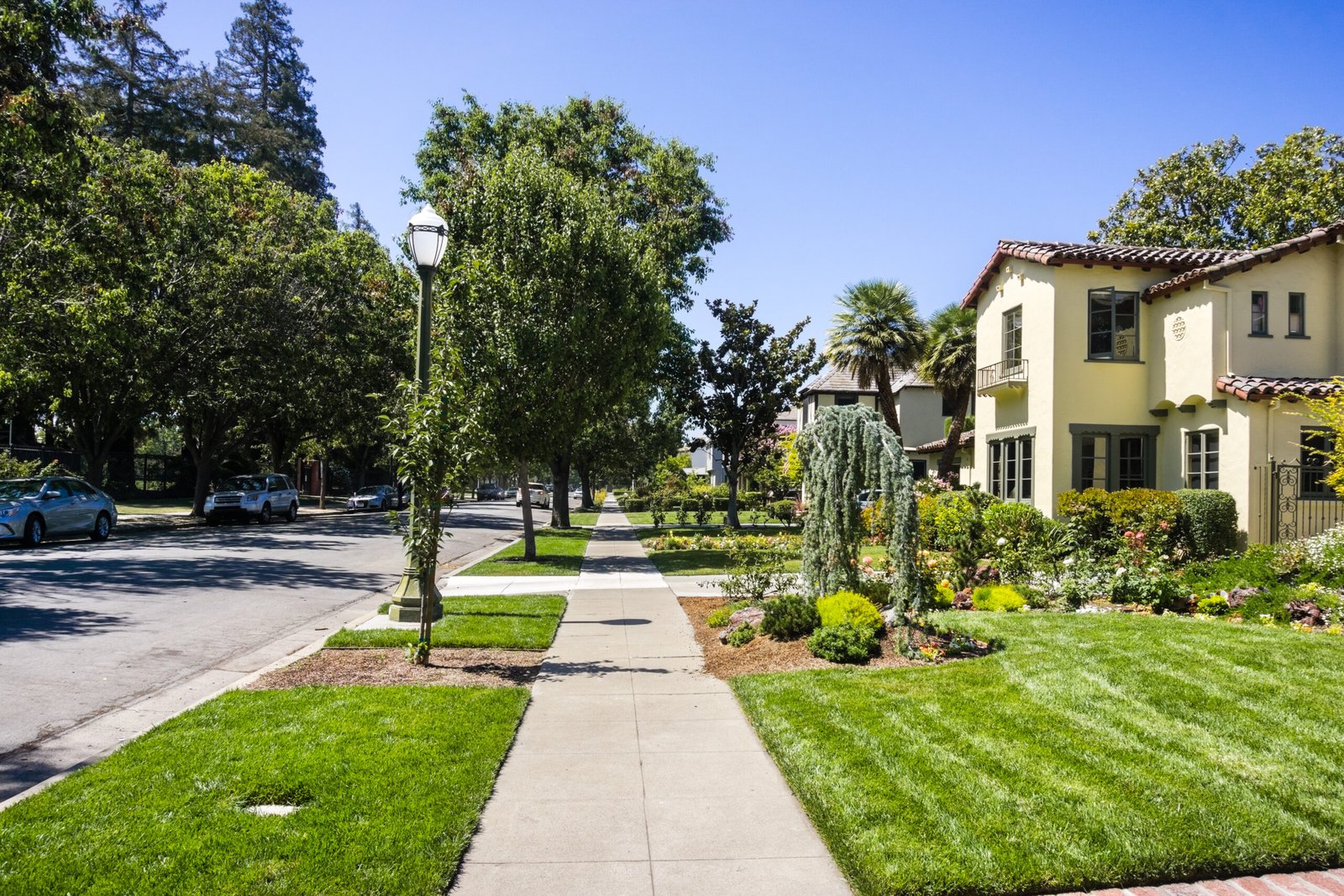 Tree-lined residential street with landscaped front gardens, lawns, and mature trees in the San Fernando Valley