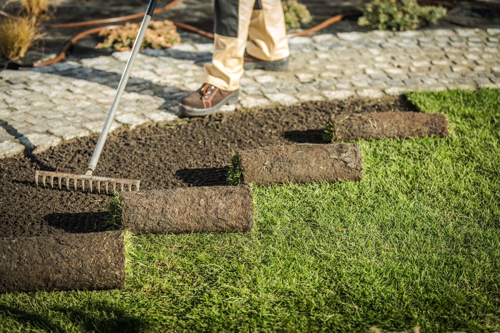 Crew installing artificial turf in a San Fernando Valley backyard